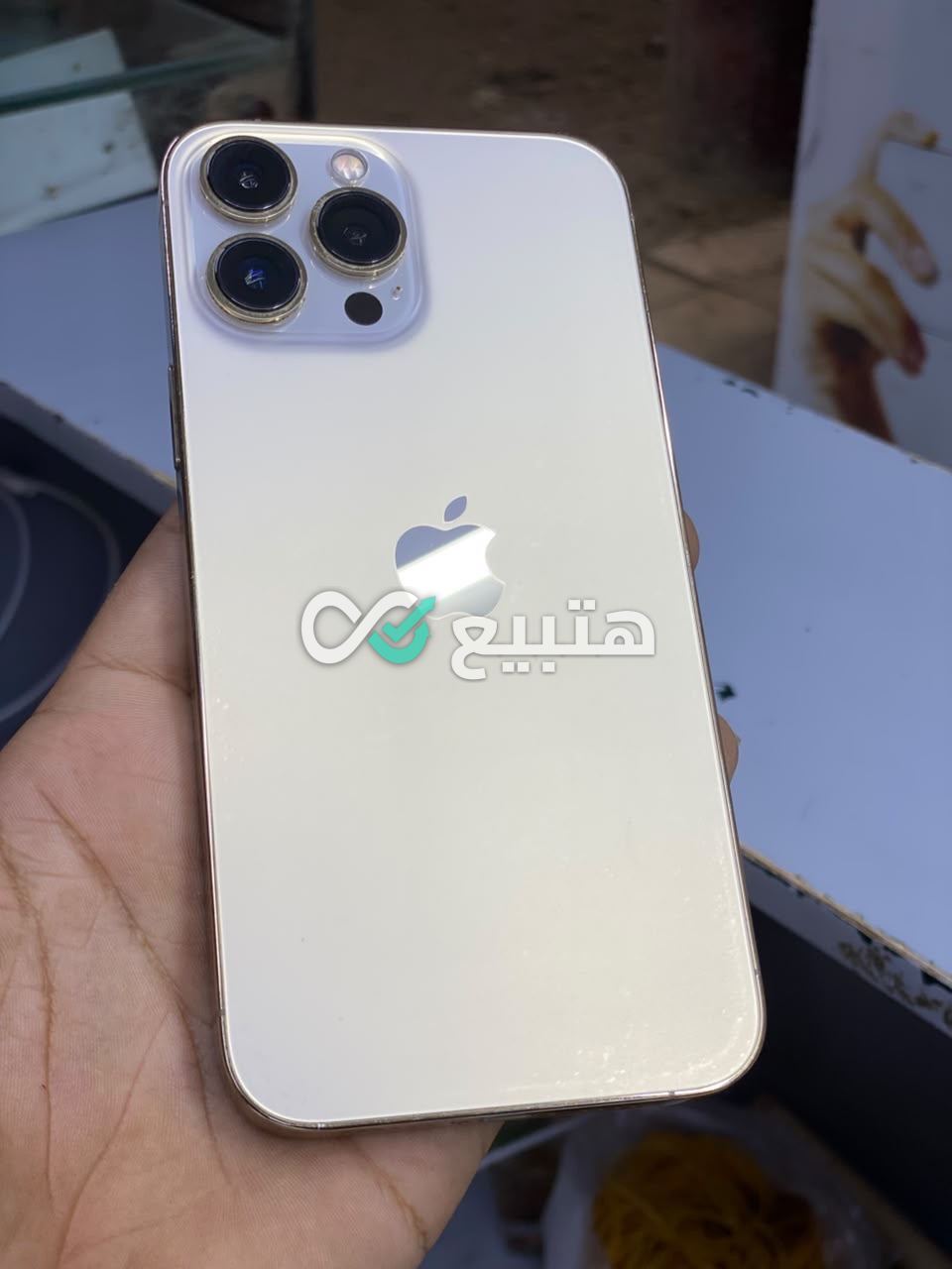iPhone 13 Pro Max
