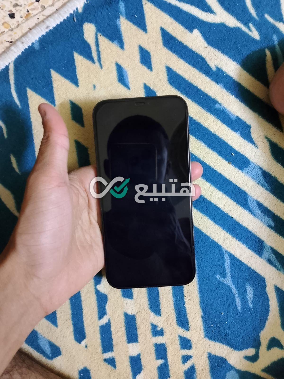iPhone 12 Pro Max